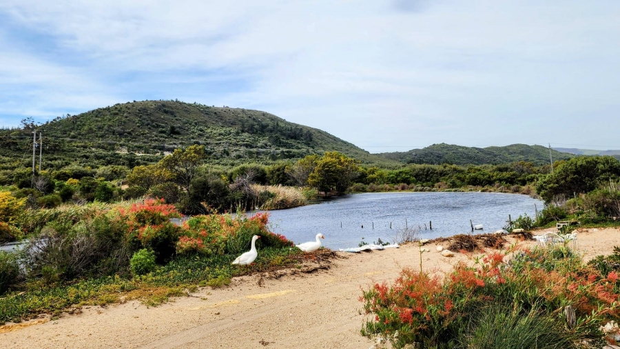 5 Bedroom Property for Sale in Uilenkraalsmond Western Cape